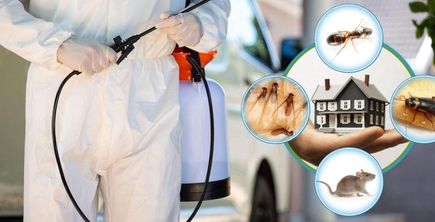 Zile Böcek İlaçlama