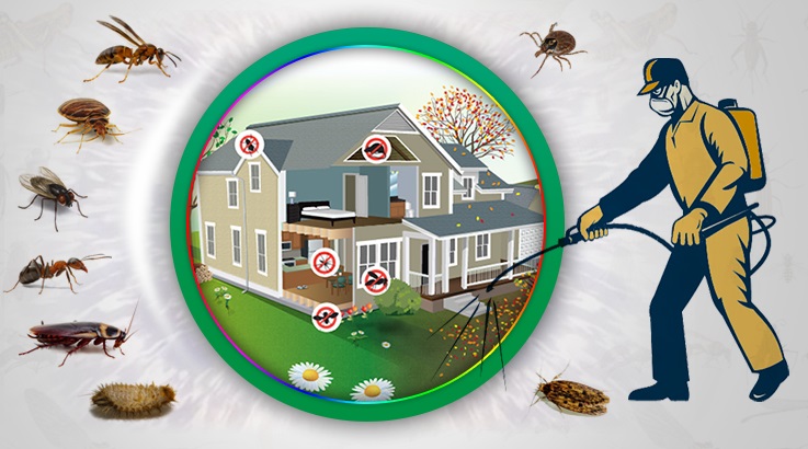 Zile Böcek İlaçlama