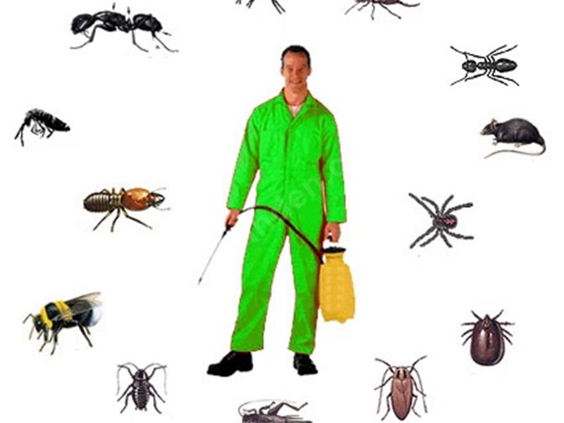 Zile Böcek İlaçlama